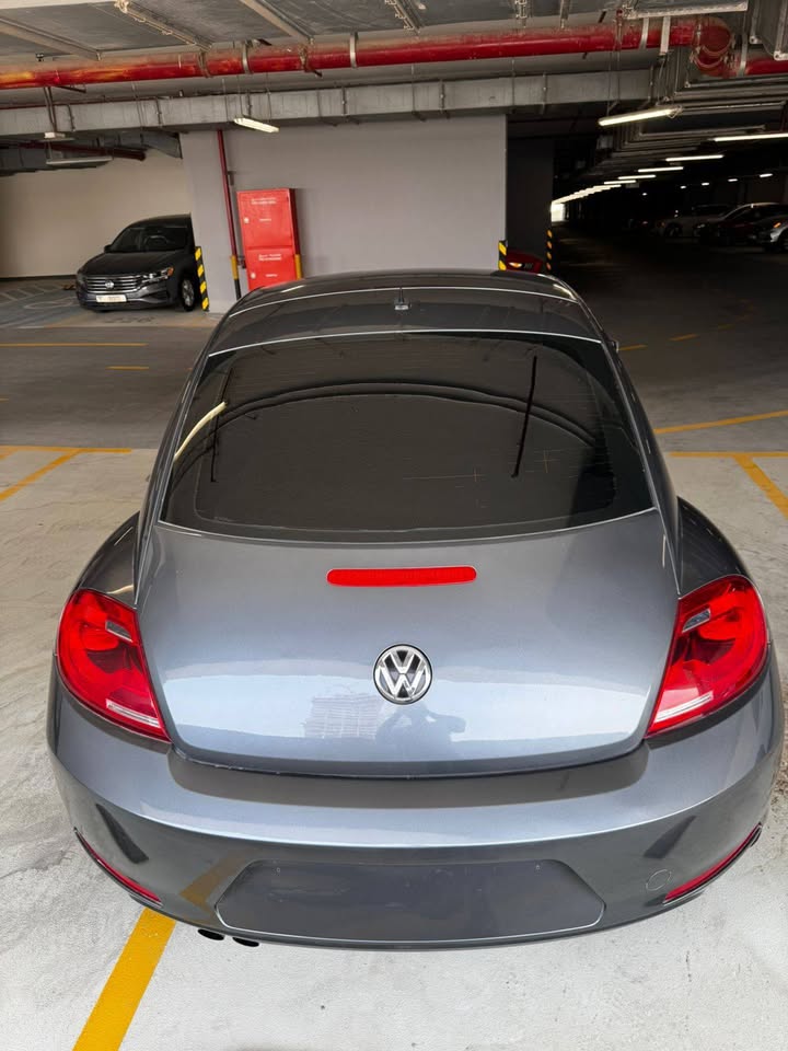 Volkswagen Beetle